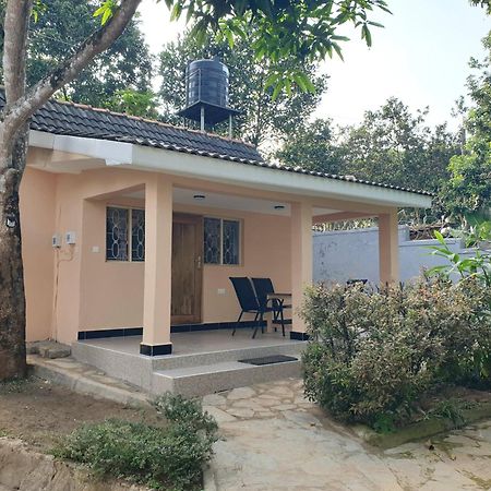 Alison & Dave'S Guesthouse عنتيبي المظهر الخارجي الصورة