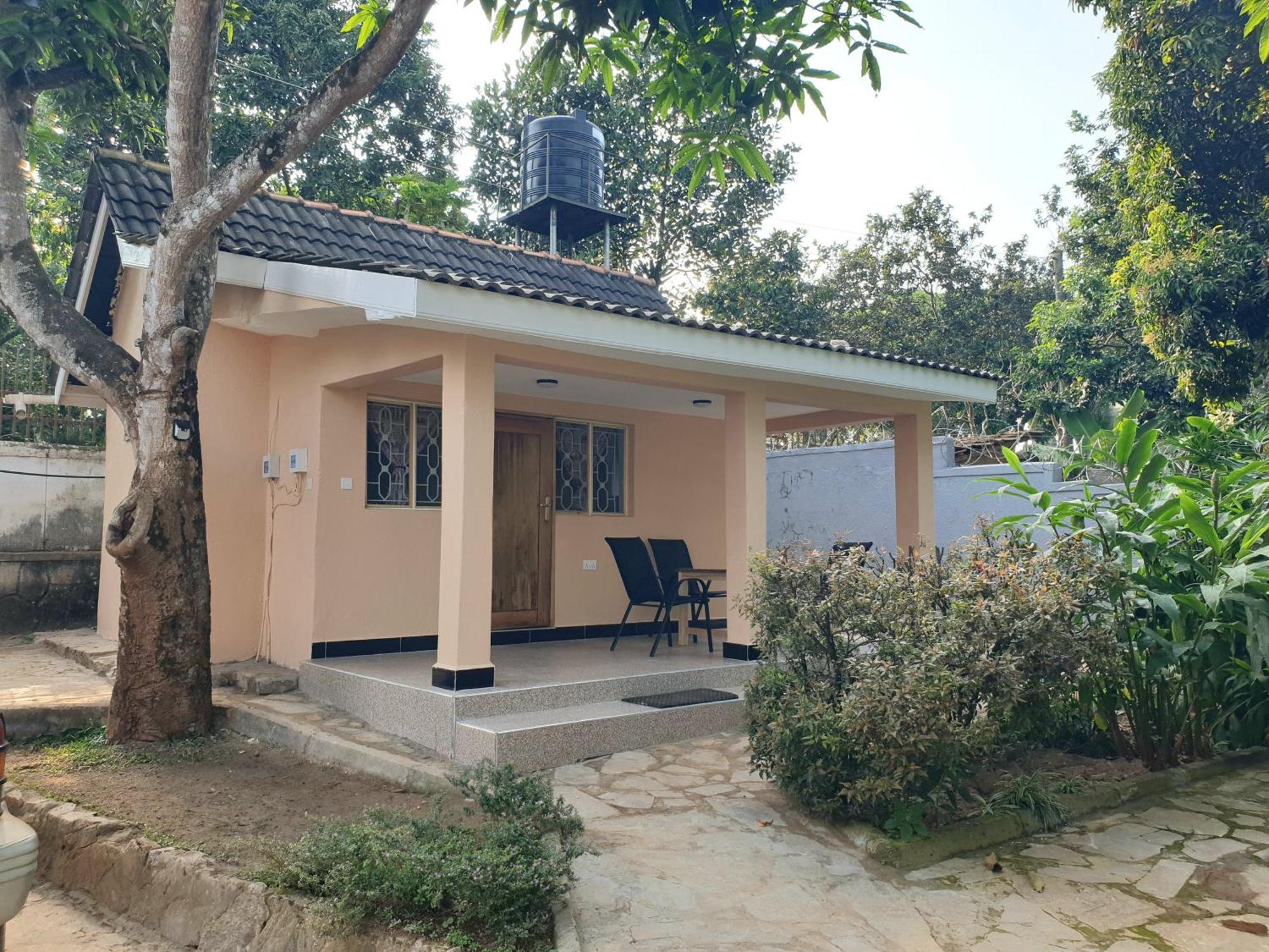 Alison & Dave'S Guesthouse عنتيبي المظهر الخارجي الصورة